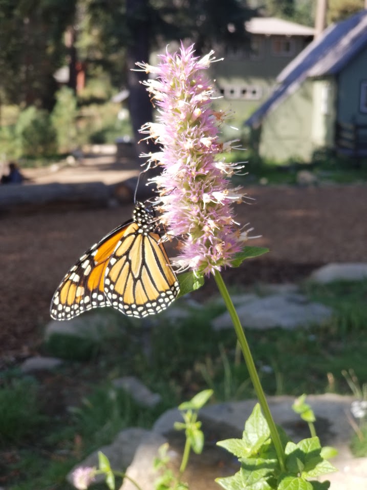 Supporting Yourself When No One Else Is Around: A Reminder for Incredible Women